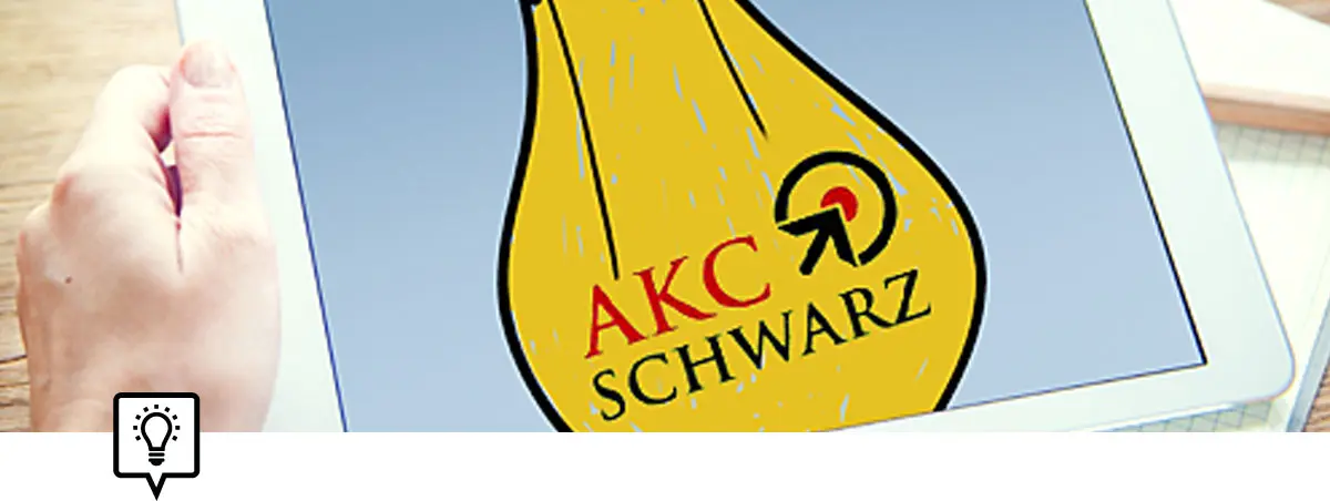 Leistungsbereich AKC Schwarz GmbH: Softwareentwicklung